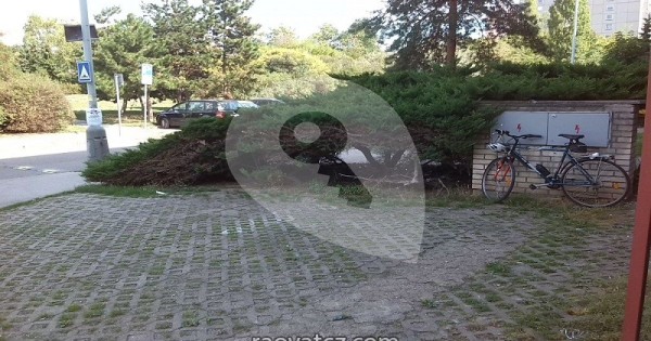 Cho thuê diện tích kinh doanh Praha 9 – Černý Most