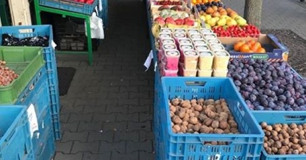 Bán quầy hoa quả ngay cạnh bến xe chính TP Plzen