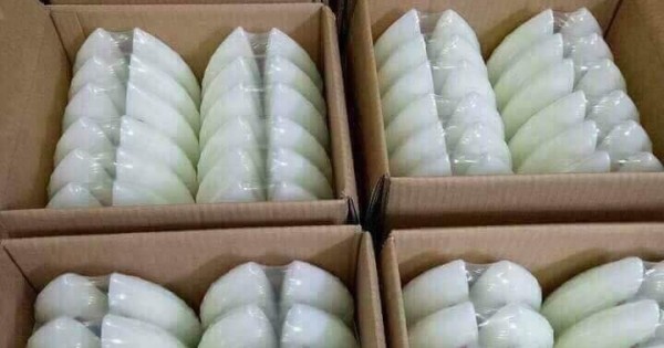 Sữa tắm cá ngựa Algemarin Perfume của Đức