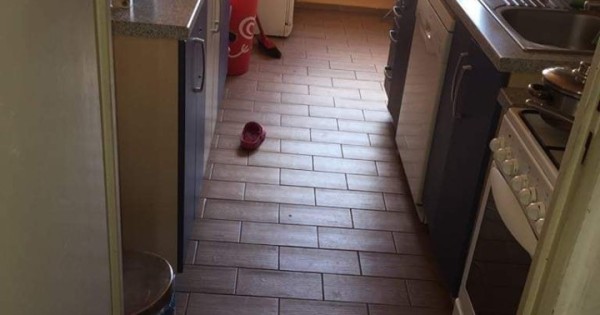 Cho thuê nhà 4+1 tại TP Plzen từ ngày 1.6.2019