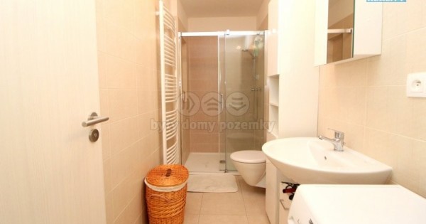 Căn hộ 2 + kk cho thuê, 50 m2, Plzeň-město, Plzeň, U Tržiště