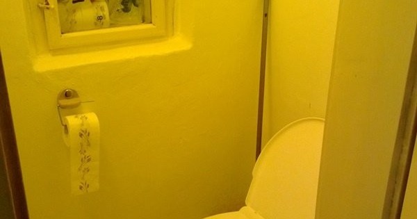 Cho thuê căn hộ 2+1, diện tích 48m2 tại Lipova, Plzen