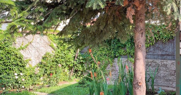 Bên em có nhà vườn ở praha4 và praha6 cho thuê khách du lịch