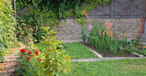 Bên em có nhà vườn ở praha4 và praha6 cho thuê khách du lịch