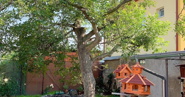 Bên em có nhà vườn ở praha4 và praha6 cho thuê khách du lịch