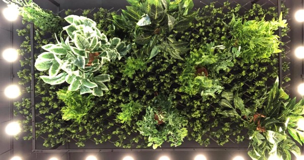 Tiệm nails cần tìm thợ nữ PHỤ và CHÍNH (ưu tiên thợ biết nối mi hoặc tiếng)