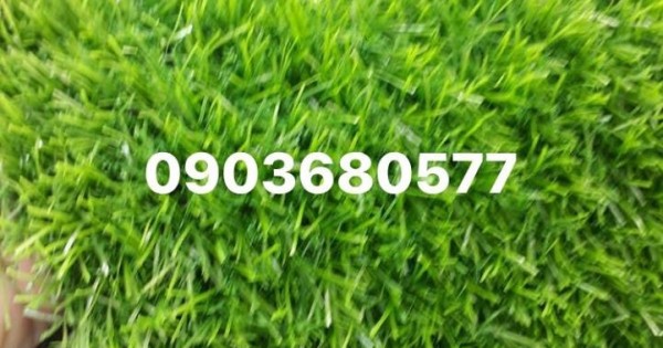 Cỏ nhân tạo trang trí giá rẻ, uy tín, chất lượng nhất