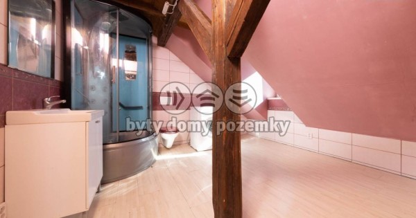 Bán bất động sản, trên ở dưới cửa hàng 327m2 tại Tuchlovice - Kladno