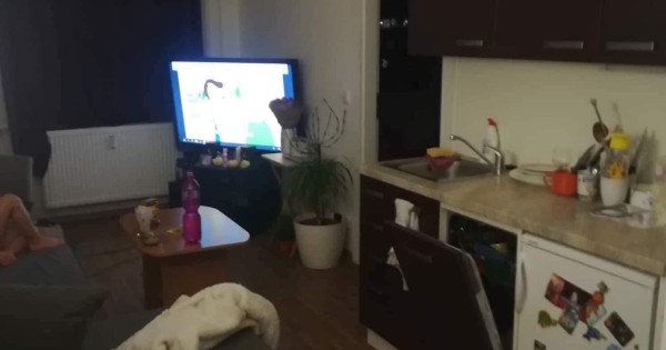 Cho thuê lại nhà 2+kk tại Praha 10, có sẵn bếp và máy giặt