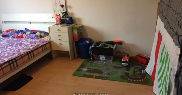 Cần cho thuê nhà 1+1 ( 30 m2 ) Praha - Hostivař