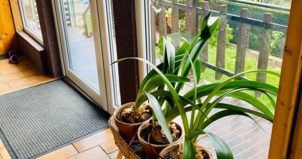 Nhà 4+KK đẹp tại Libus cách chợ Sapa 4 bến bus còn 2 phòng trống to cho thuê