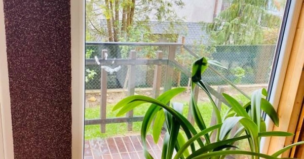 Nhà 4+KK đẹp tại Libus cách chợ Sapa 4 bến bus còn 2 phòng trống to cho thuê