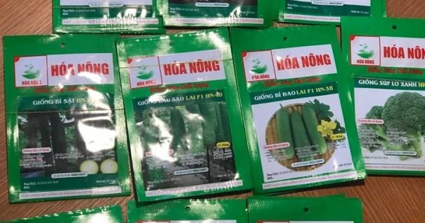 Bán hạt giống rau từ Việt Nam tại Séc