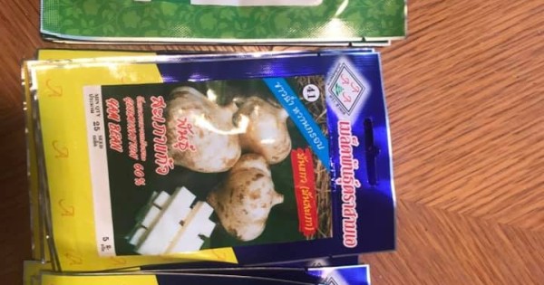 Bán hạt giống rau từ Việt Nam tại Séc