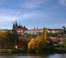 Cần người làm Potraviny tại Praha 1