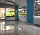 Cần cho thuê tiện tóc tại gần biên giới Đức