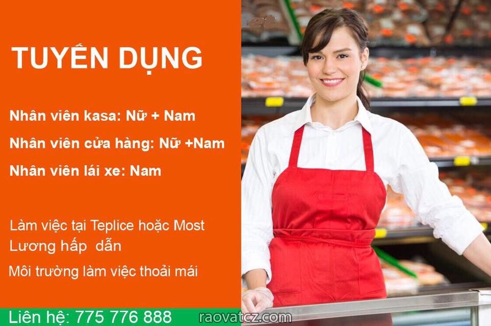Cần tuyển số lượng nhân lực cho các vị trí, lái xe, kasa, nhân viên cửa hàng - Hình 1