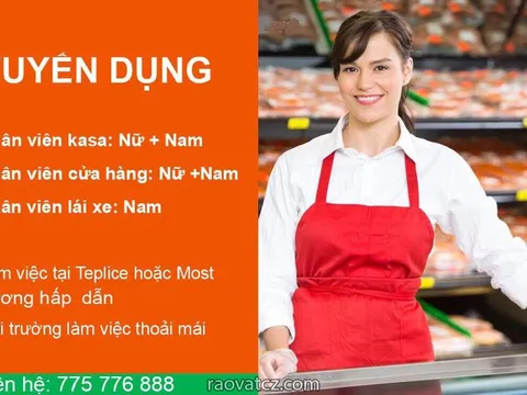Cần tuyển số lượng nhân lực cho các vị trí, lái xe, kasa, nhân viên cửa hàng