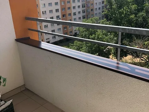 còn phòng riêng và chỗ ở ghép bến invalidovna praha 8