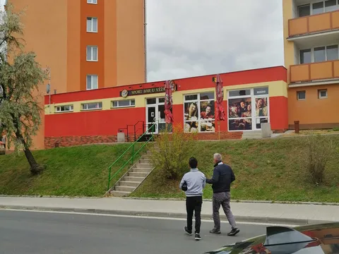 Bán bất động sản diện tích 300m2 tại Stribro, cách TP Plzen 25km