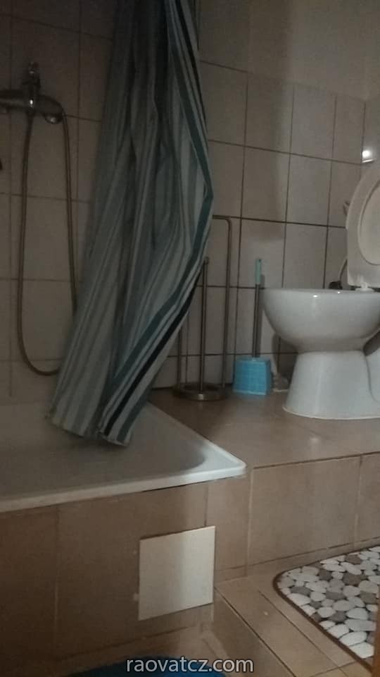 Nhà 1+kk cho thuê lại Praha 2