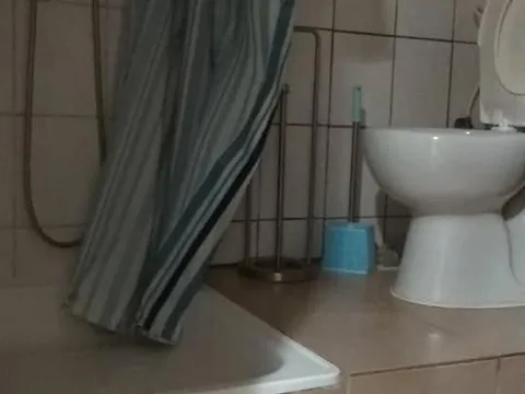 Nhà 1+kk cho thuê lại Praha 2