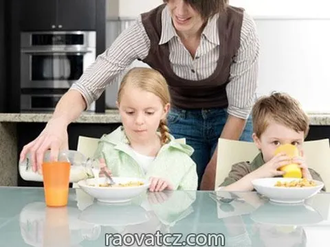 Cần tìm người trông trẻ và giúp việc nhà khu vực Plzen