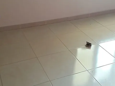 Nhà 3+1con một phòng cần cho thuê lâu dài phòng có đủ đồ