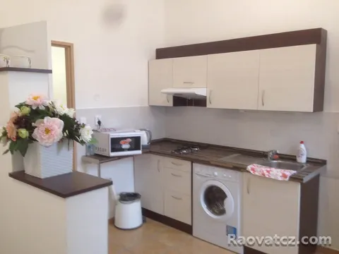 Cho thuê căn hộ trung tâm gần muzeum và ip pavlova